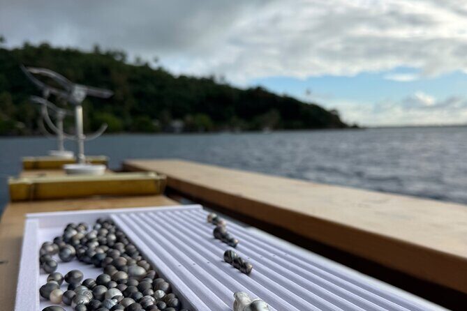 Snorkeling Shark Ray and Discovery DE the Black Pearl in Bora Bora - Final Thoughts