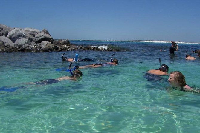snorkeling-shelling-eco-excursion