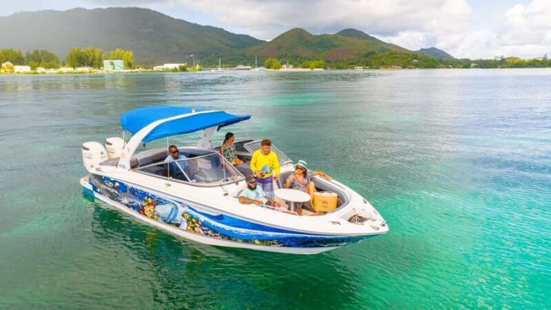 Snorkeling St-Pierre Marine Park and Anse Petite Cour - Anse Petite Cours: A Magical Encounter with Marine Life