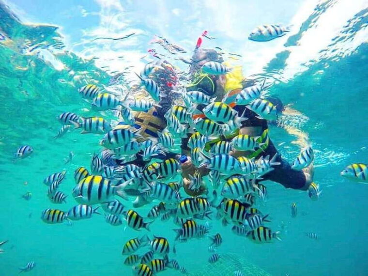 snorkeling-to-gili-nanggu-tangkong-sudak-and-kedis