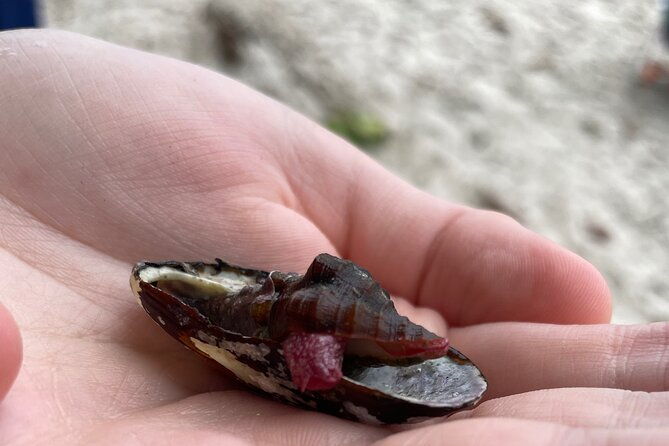 snorkeling-tour-and-white-sand-beach-exploration