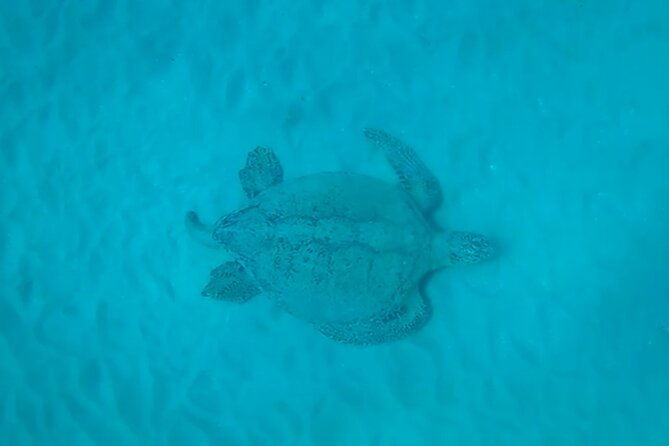 snorkeling-tour-at-cano-island