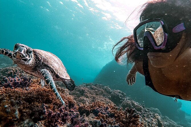 snorkeling-tour-in-cano-island-with-lunch