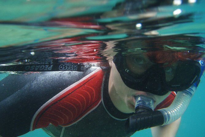 Snorkeling tour Makarska Riviera, islands of Hvar or Bra - Who Is This Tour Best For?