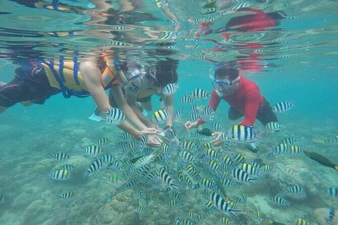Snorkeling Tour & One Night Camping In Gili Kedis - Additional Insights from Travelers