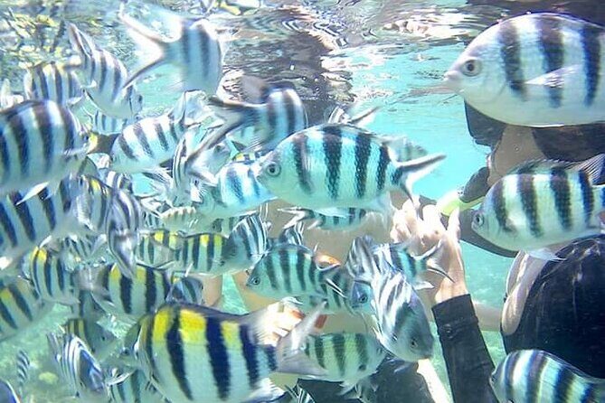 Snorkeling Tour & One Night Camping In Gili Kedis - FAQs