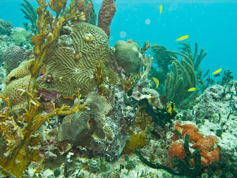 Snorkeling tour plus Isla Mujeres Private Tour - The Experience and Authenticity
