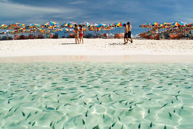 Snorkeling Tour to Coral & Maiton & Racha Island from Phuket - The Sum Up: Who Will Love This Tour?