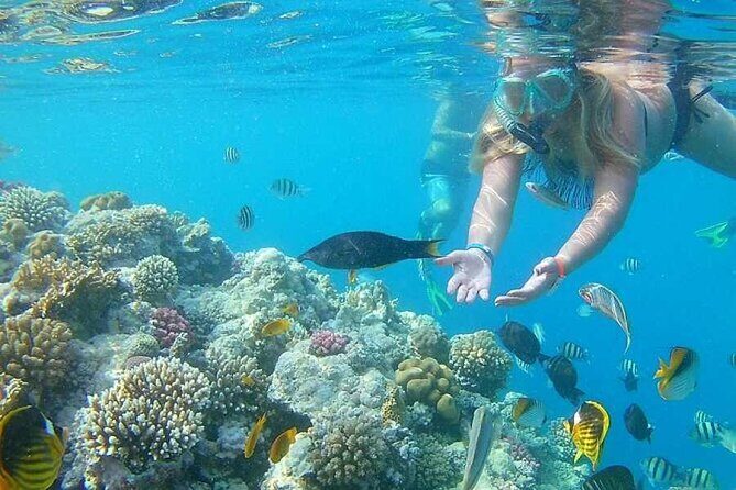 Snorkeling Tour to Orange Bay and Giftun Islands from Hurghada - Key Points