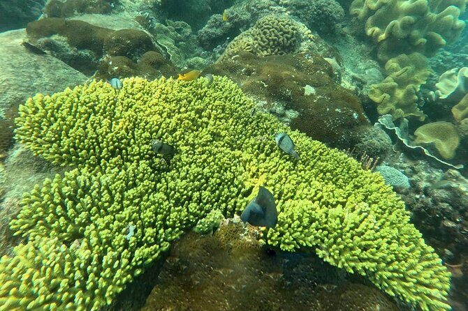 Snorkeling tour to South of Phu Quoc Island & BBQ ( Max 10 PAX ) - FAQ