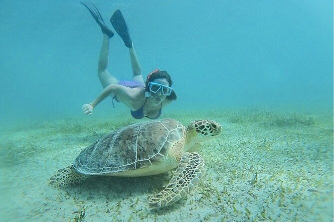 snorkeling-tour-to-vieques-island