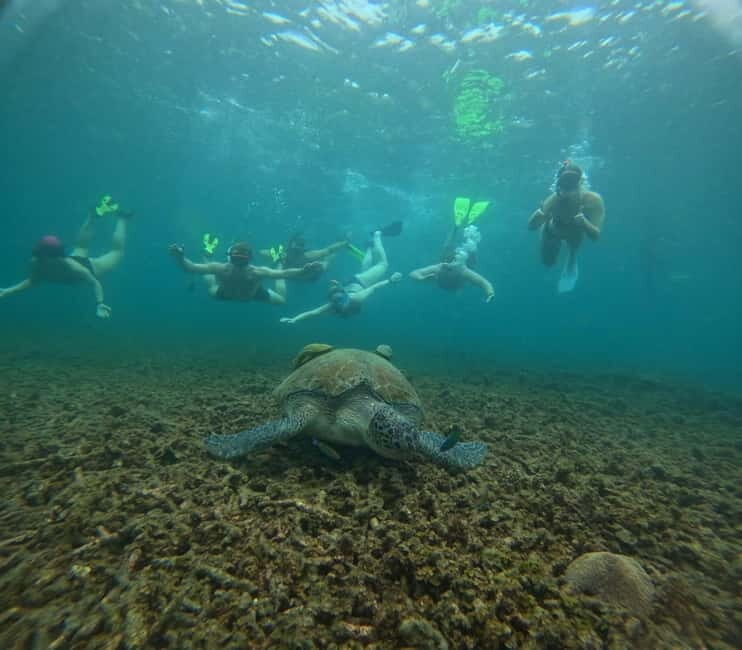 Snorkeling Tour with meals and BBQs - Cocktail - Sunset - Key Points