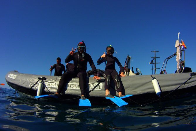 snorkeling-tour-with-sea-turtles-and-stingrays