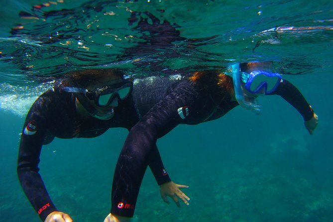 snorkeling-tour-with-sea-turtles-and-stingrays