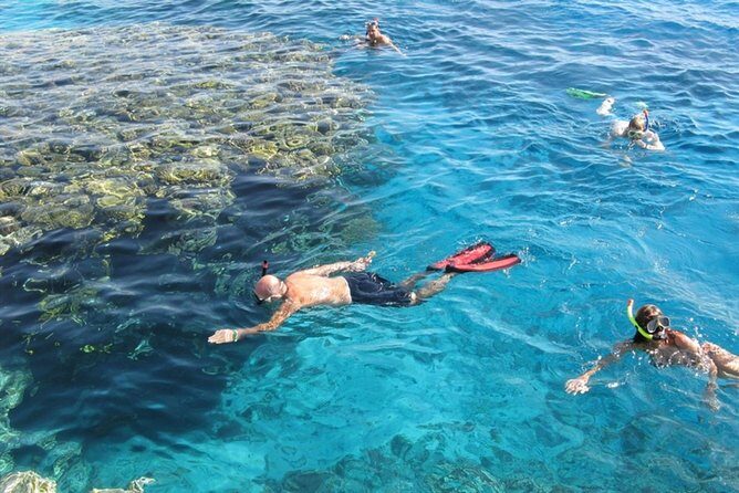 Snorkeling Trip at Hamata Islands From Marsa Alam - The Pickup and Journey to Hamata