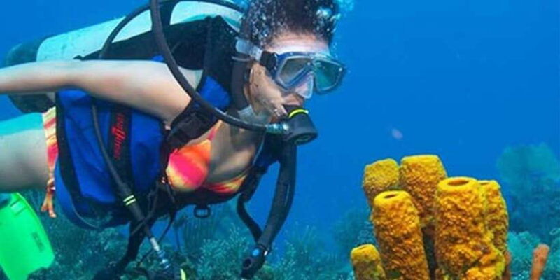 snorkeling-trip-from-polhena-beach-matara-sri-lanka