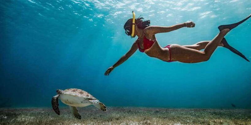 snorkeling-trip-from-polhena-beach-matara-sri-lanka