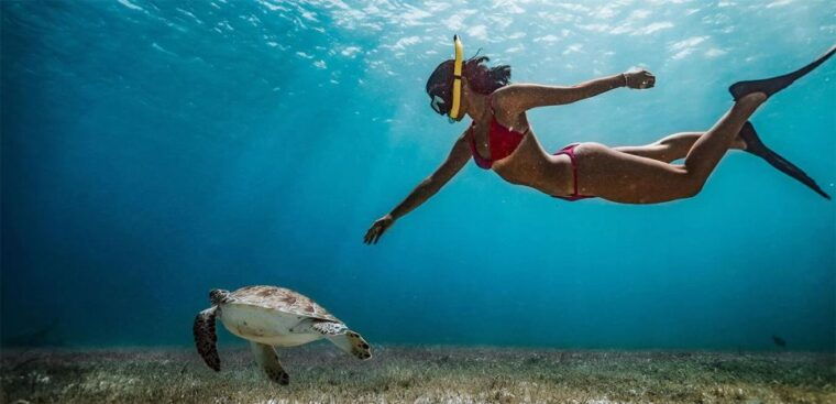 snorkeling-trip-from-polhena-beach-matara-sri-lanka