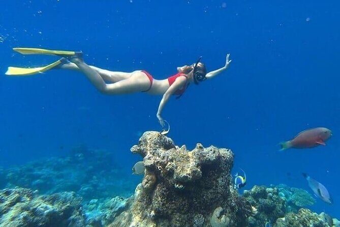 Snorkeling Trip Gili Gede, Asahan, Rengit, Layar and Goleng - Who Is This Tour For?