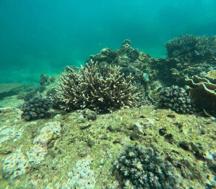 Snorkeling Trip To Angel Rock - The Sum Up