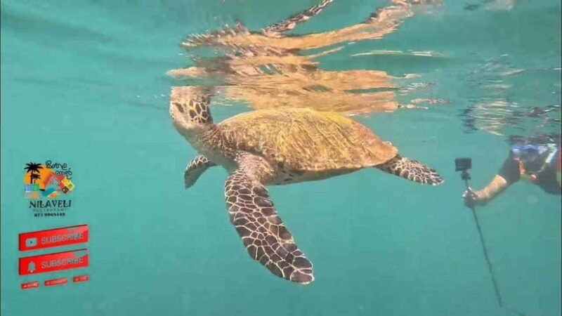 snorkeling-trip-to-pigeon-island