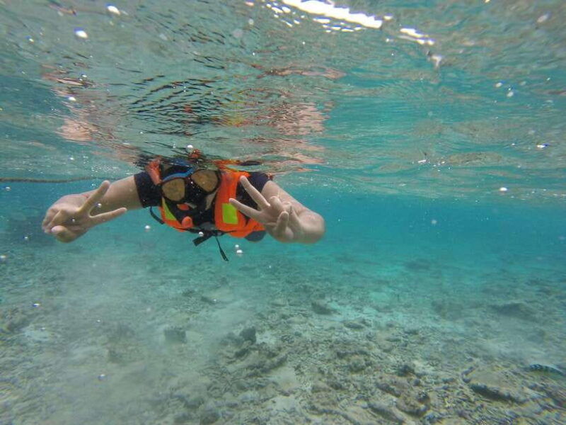 snorkeling-trip-to-pigeon-island
