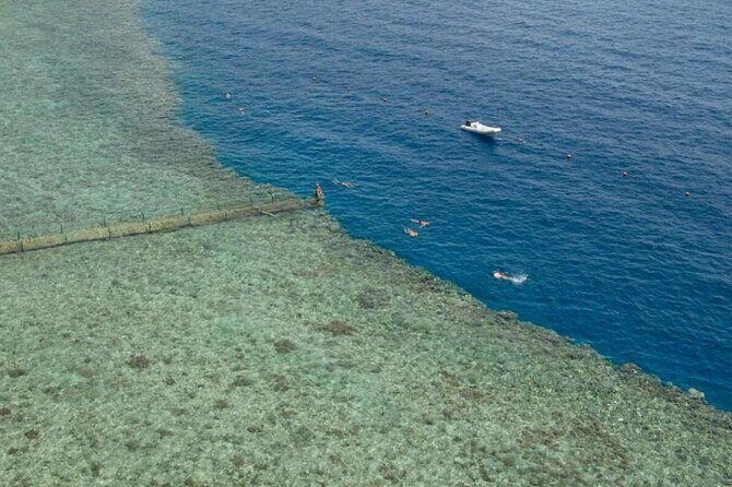Snorkeling Trip to Tiran Island By Boat and Lunch Sharm El-Sheikh - The Itinerary: A Closer Look  
