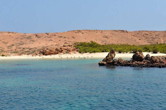 Snorkeling trips to Daymaniat Islands Sharing Trip - Introduction