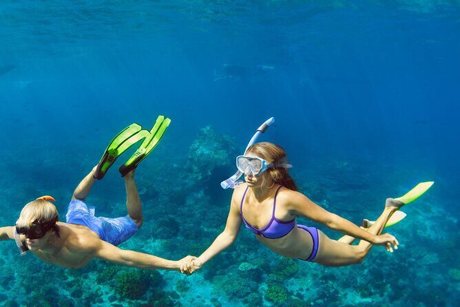Snorkeling trips to Daymaniat Islands Sharing Trip - Key Points