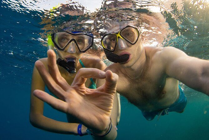 Snorkeling trips to Daymaniat Islands Sharing Trip - The Sum Up