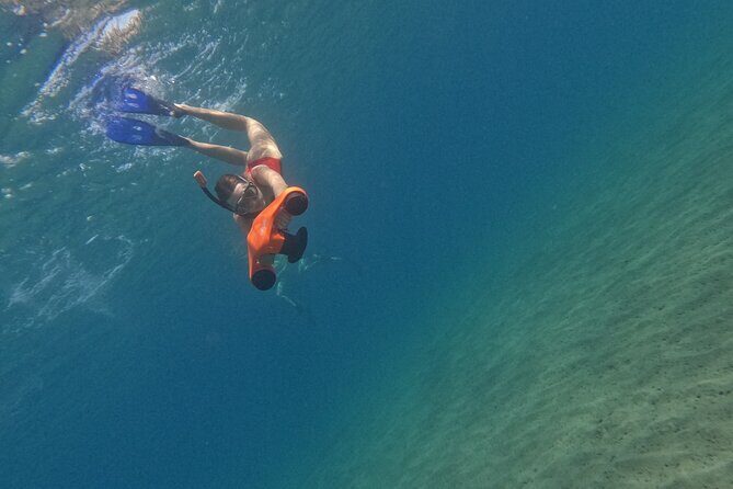 snorkeling ,Turtle Watching in Cyprus - Why This Tour Offers Real Value