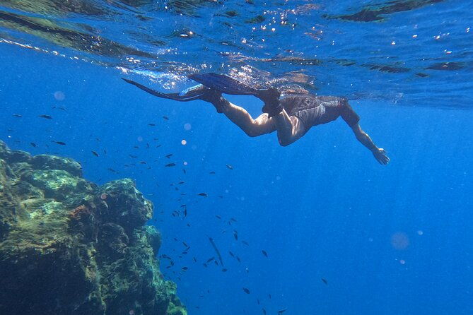 snorkeling-with-a-professional-instructor-in-tenerife