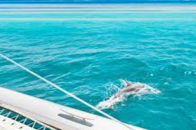 Snorkeling with Dolphins & Lunch In Sataya Reefs From Marsa Alam - Exploring the Details of the Sataya Reef Snorkeling Tour