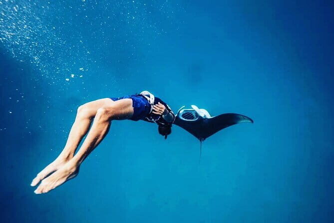 Snorkeling with Manta Rays from Maafushi - Introduction: A Snorkeling Adventure with a Touch of Magic