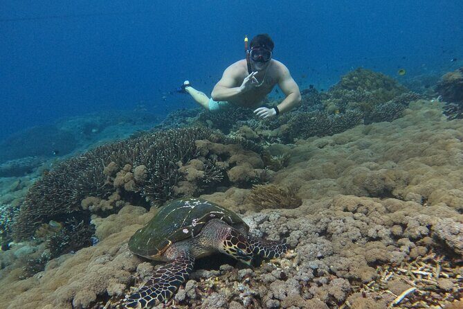 Snorkeling With Manta Rays in Nusa Penida and 4 Other Spots - The Experience: What You Can Expect