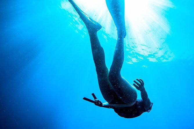 snorkeling-with-marine-biologist-expert-from-sorrento