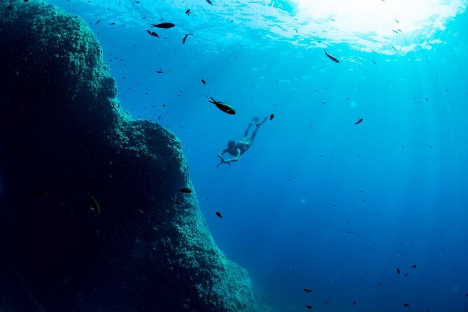 snorkeling-with-marine-biologist-expert-from-sorrento