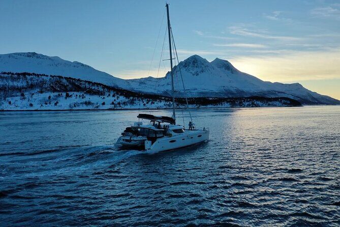 Snorkeling with Orcas In Norway, 4 days All-Inclusive expedition - Who Will Love This Tour?