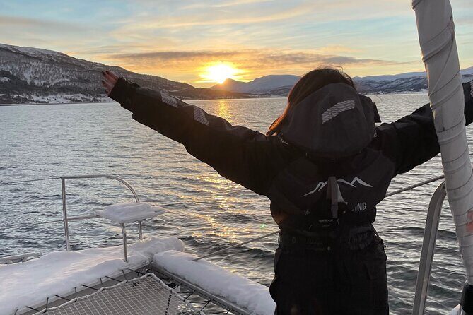 Snorkeling with Orcas In Norway, 4 days All-Inclusive expedition - FAQ