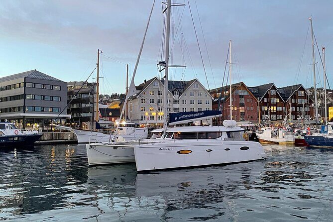 Snorkeling with Orcas In Norway, 4 days All-Inclusive expedition - Final Thoughts