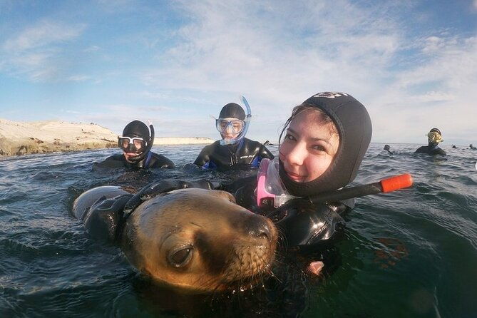 snorkeling-with-sea-lions-and-wildlife-adventure