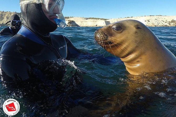 snorkeling-with-sea-lions