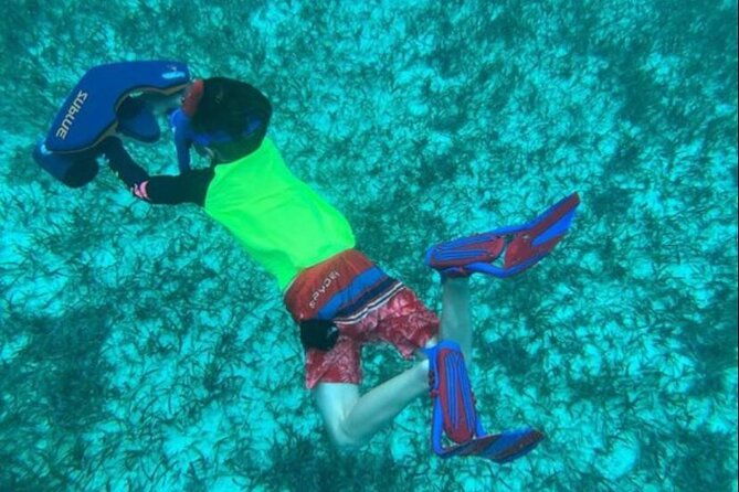 snorkeling-with-sea-scooters-and-sea-adventure-offshore