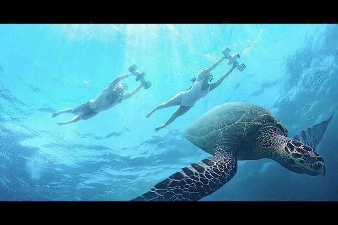 snorkeling-with-sea-scooters-and-sea-adventure-offshore