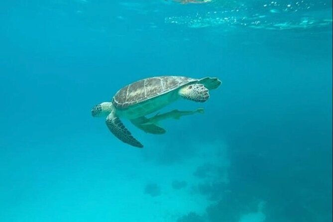 snorkeling-with-sea-scooters-and-sea-adventure-offshore