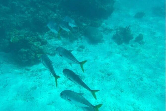 snorkeling-with-sea-scooters-and-sea-adventure-offshore