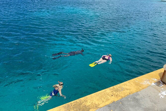 snorkeling-with-sea-turtles-2