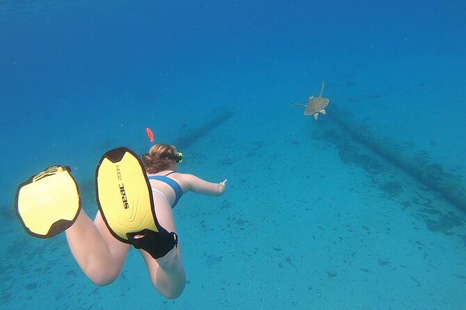 snorkeling-with-sea-turtles-2