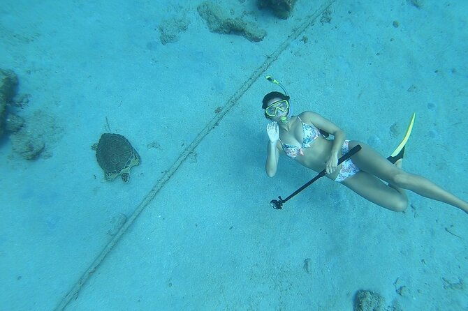 snorkeling-with-sea-turtles-2