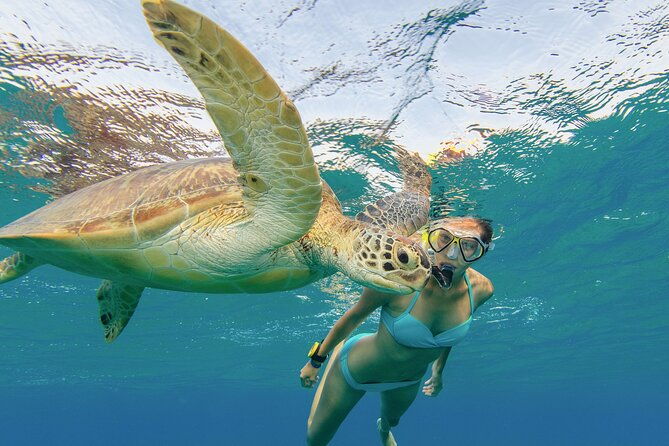 snorkeling-with-turtle-water-scooter-paddleboard-adventures-oahu
